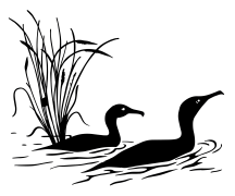 Friends of Gardiners Creek Valley